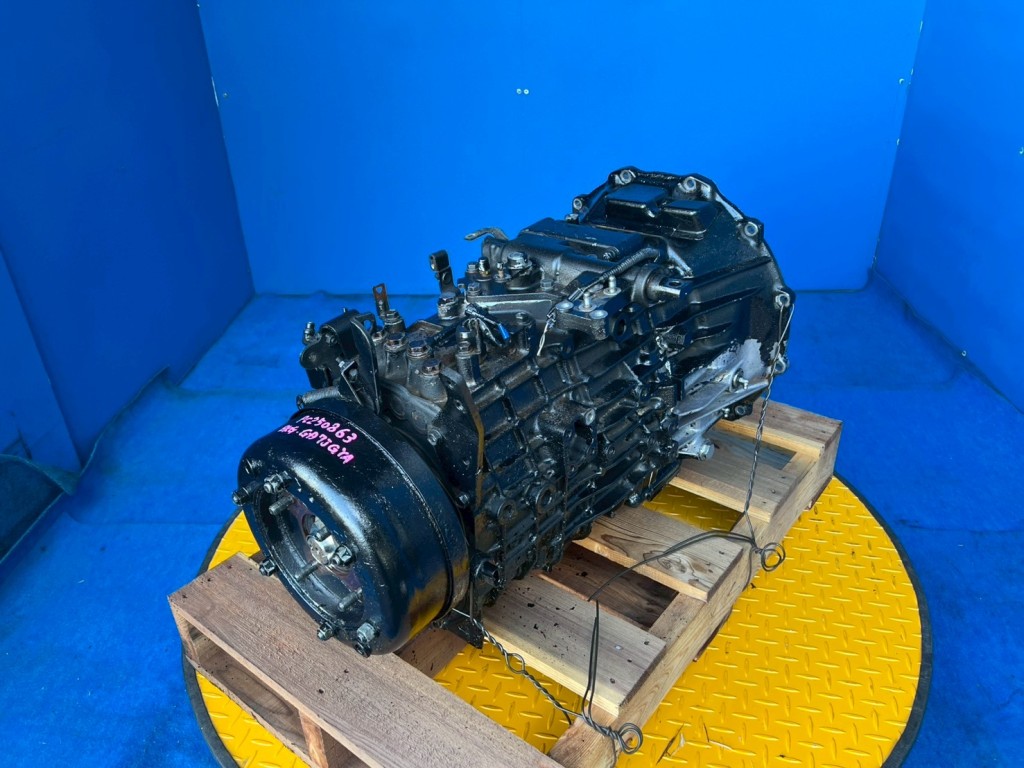 画像 5枚目